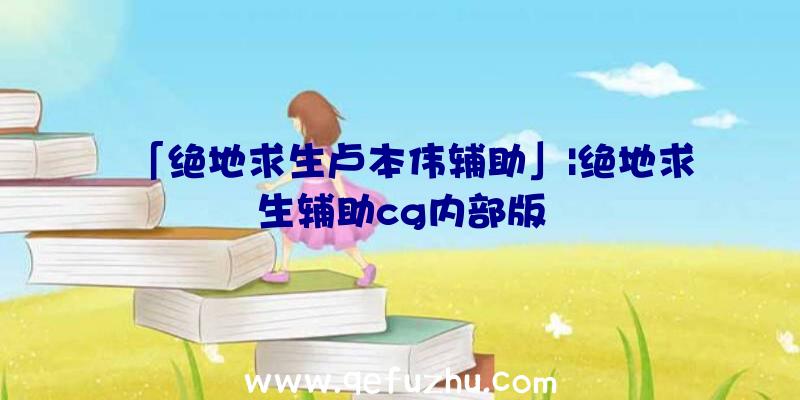 「绝地求生卢本伟辅助」|绝地求生辅助cg内部版
